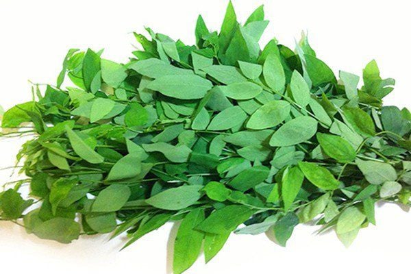 Những tác dụng của việc tiêu thụ rau bina Malabar là gì? | Vinmec
